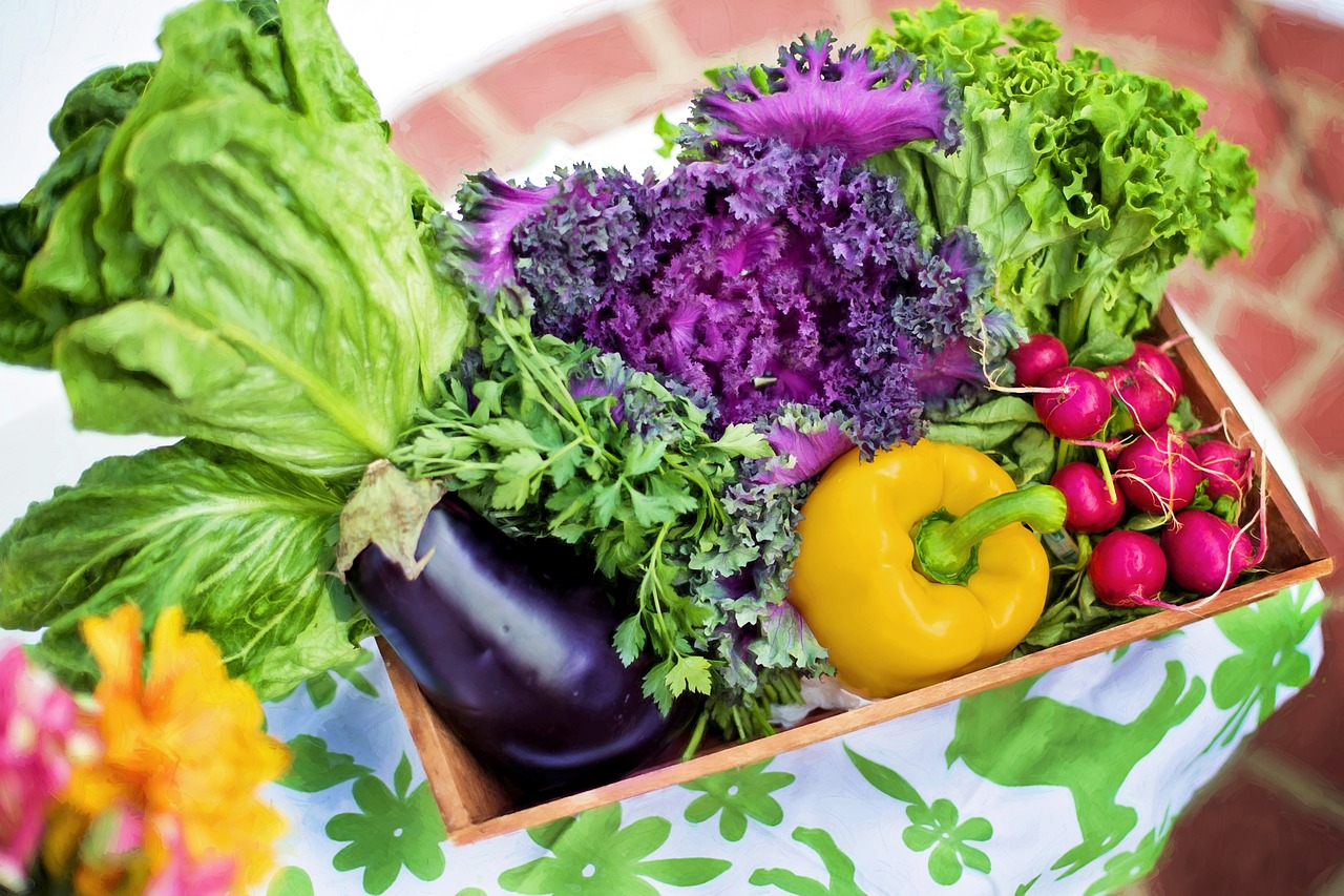 higienizando os vegetais - Alimentação Balanceada: O primeiro passo para ser mais saudável