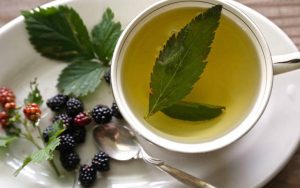 beneficios do chá de folha de amora 300x188 - Os benefícios do chá: 16 Sabores para sua saúde