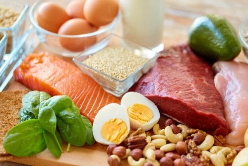 macronutrientes para uma alimentação saudável - Alimentação Balanceada: O primeiro passo para ser mais saudável
