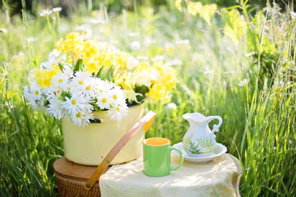 receitas gostosas com chá 1024x682 - Os benefícios do chá: 16 Sabores para sua saúde