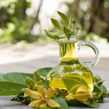 benefícios do óleo essencial de ylang ylang