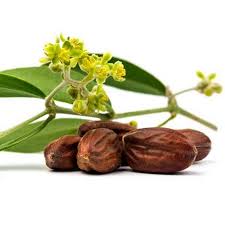 jojoba - Cosméticos Naturais: Descubra o poder da natureza para sua beleza