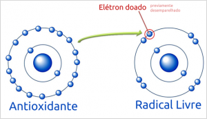 antioxidante 300x172 - 20 Alimentos antioxidantes que fazem bem para sua saúde e beleza