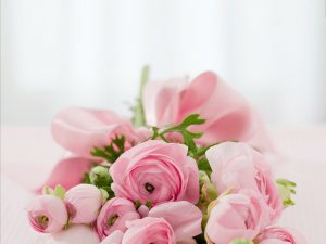 rosa 300x225 - Plantas para decoração: conheça as que atraem energias positivas