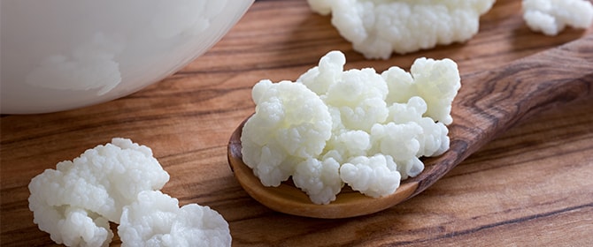 como cuidar do kefir - Kefir: saiba mais sobre esse super probiótico do bem