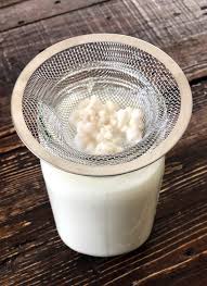 kefir de leite - Kefir: saiba mais sobre esse super probiótico do bem