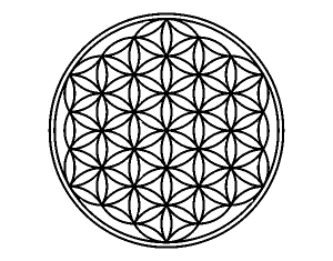 a flor da vida 300x235 - Conheça todos os segredos da Geometria Sagrada