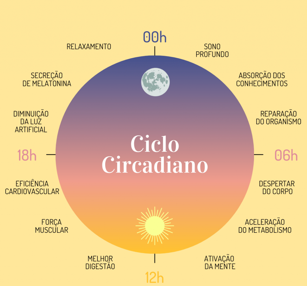 ciclo circadiano e1621902062395 1024x955 - Ciclo Circadiano - entenda o que é e sua importância