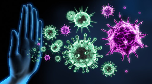 sistema imunológico - Entenda seu sistema imune